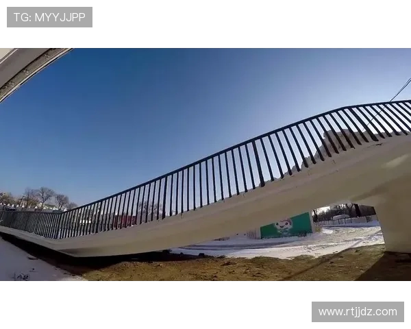 武汉滑板队在极限运动世界杯积分榜上以85分稳居第一名引领风骚